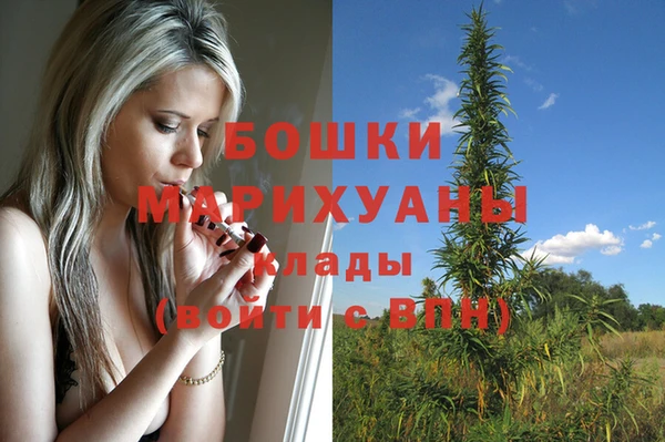 винт Абаза