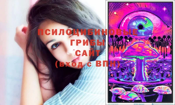 спайс Абинск
